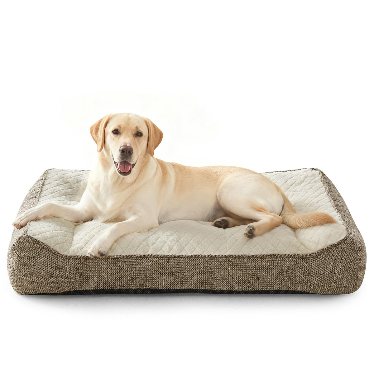 JoeJoy XL Orthopedic Dog Bed front view highlights thick support for large dogs