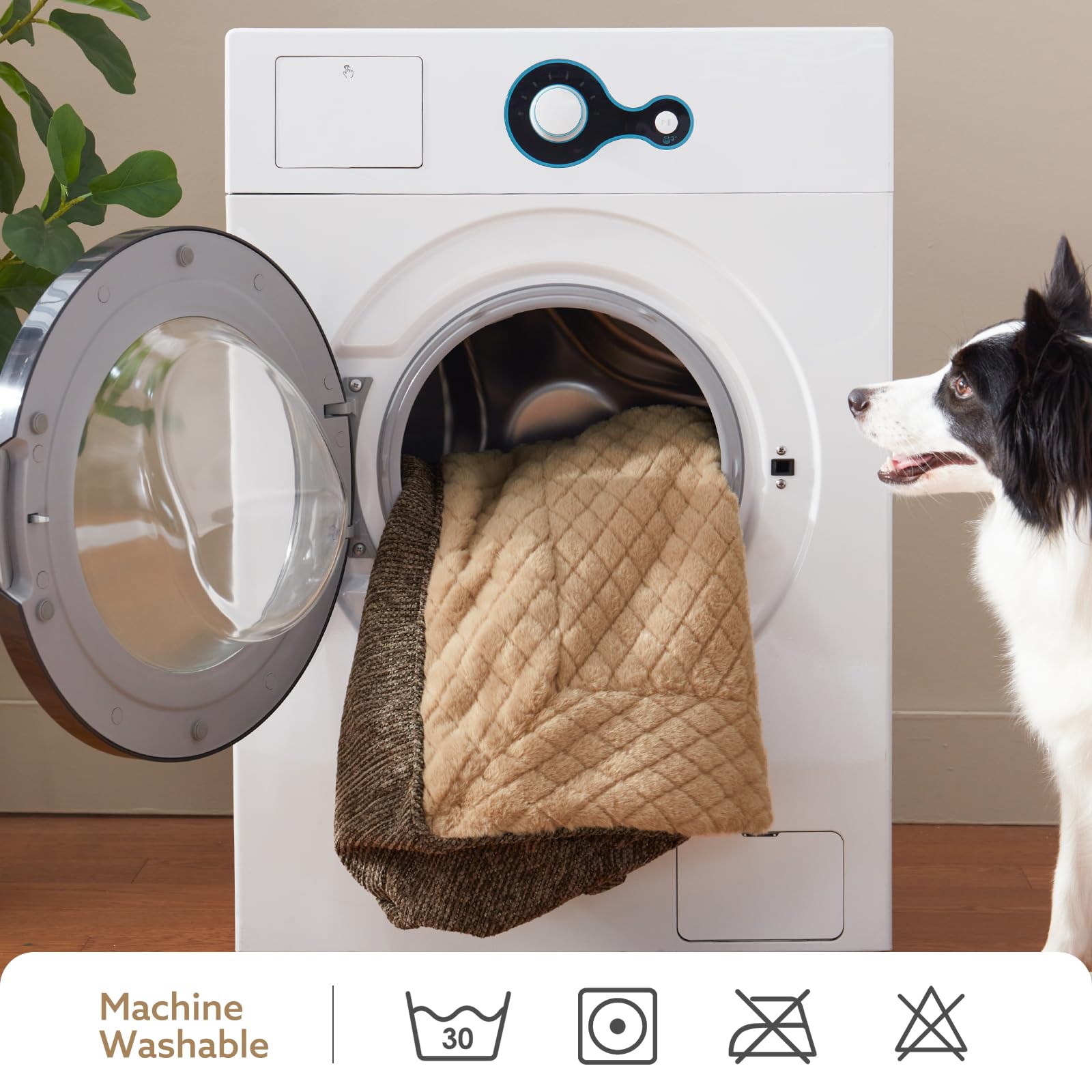 JOEJOY XL in-room setup demonstrates large dog lounging comfortably