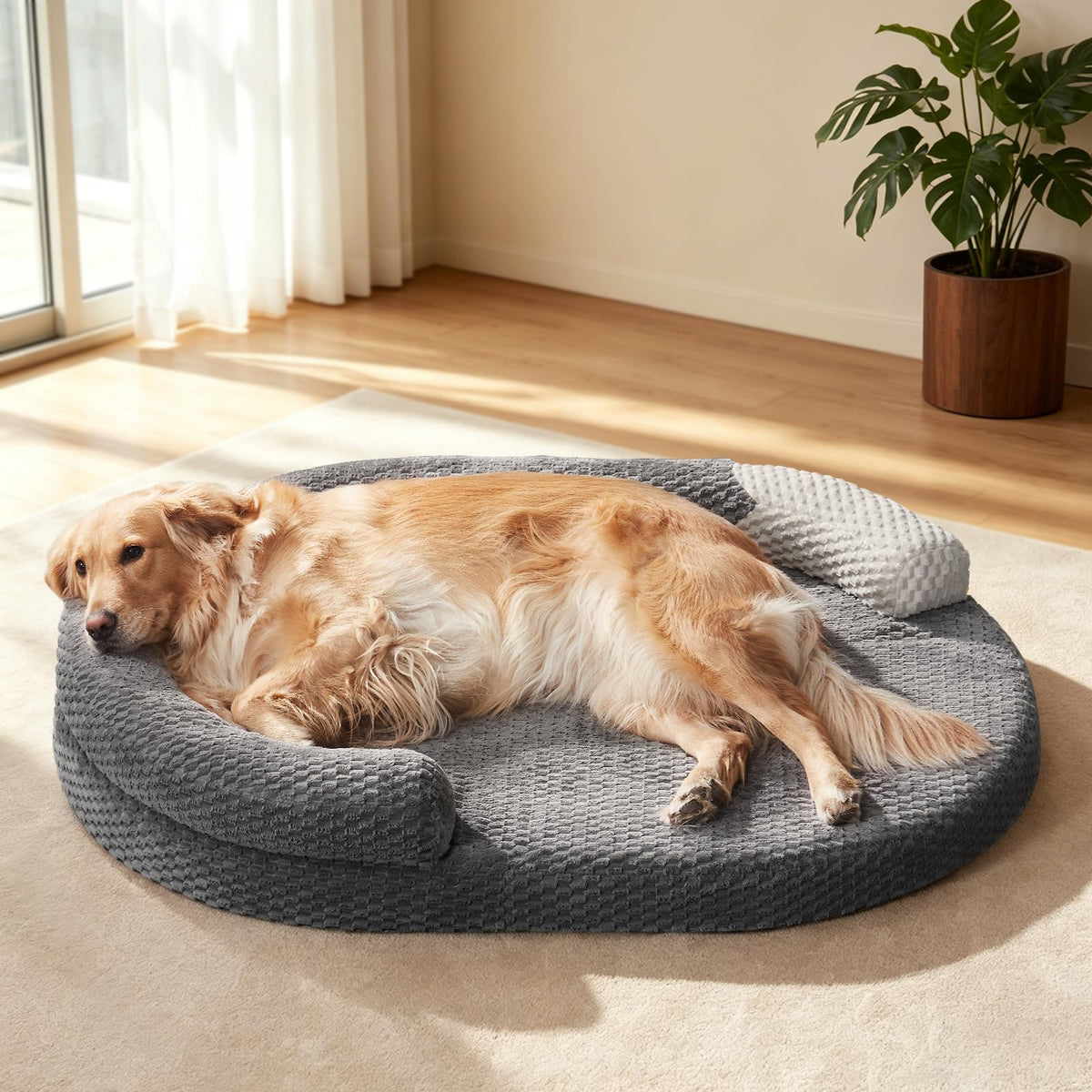 JOEJOY XL orthopedic dog bed in oval shape for spine support and joints.