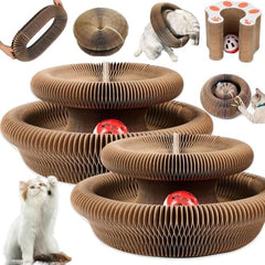 Jogcoys Kitty Curls track-ball toy engages cats with movement and scratching.