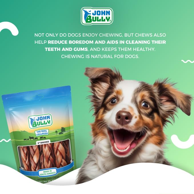 John Bully collagen braided 6-inch dog treat in action for enrichment.