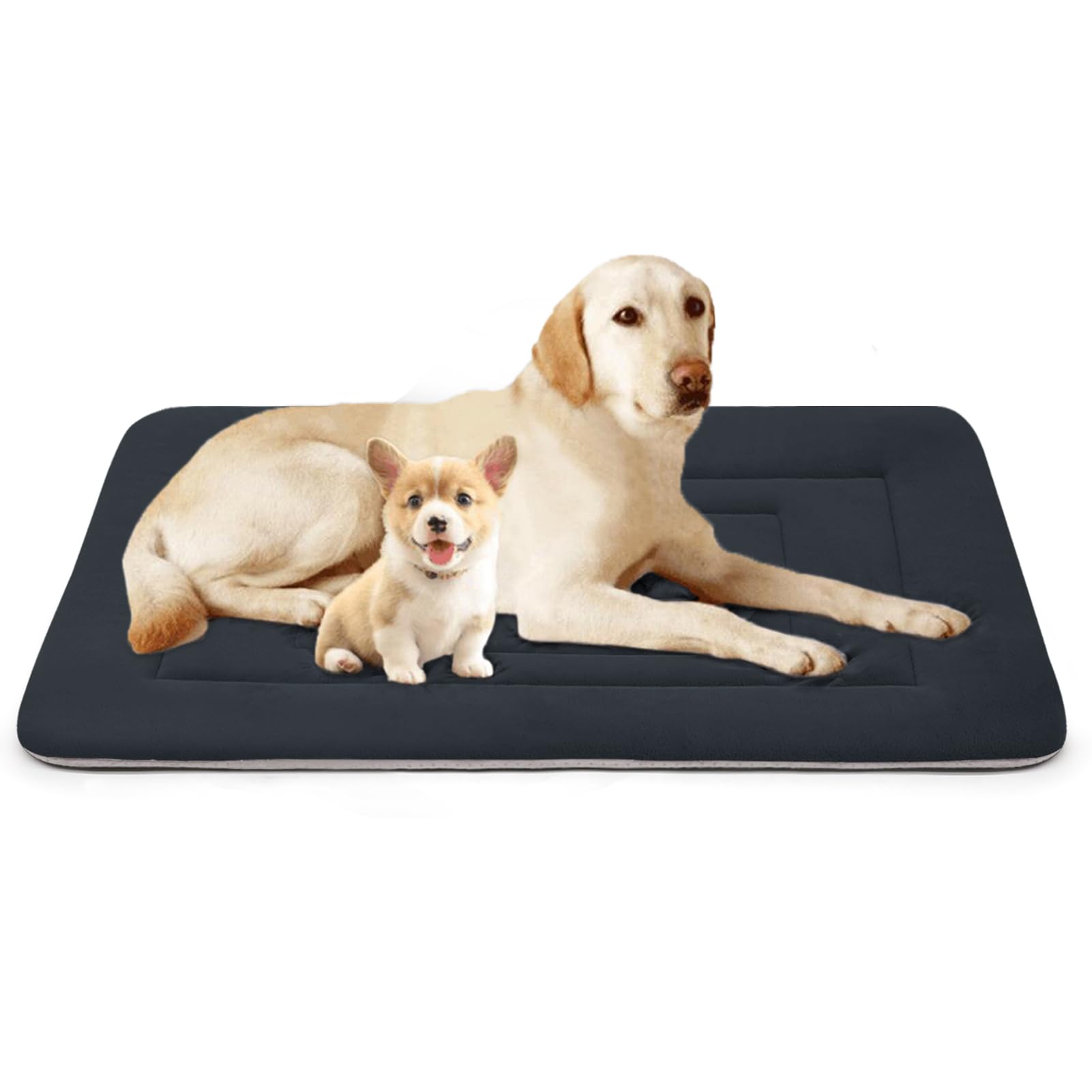 JoicyCo dog bed front view with a roomy 48-inch pad for large dogs.