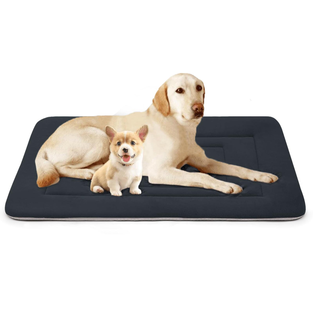 JoicyCo dog bed front view with a roomy 48-inch pad for large dogs.