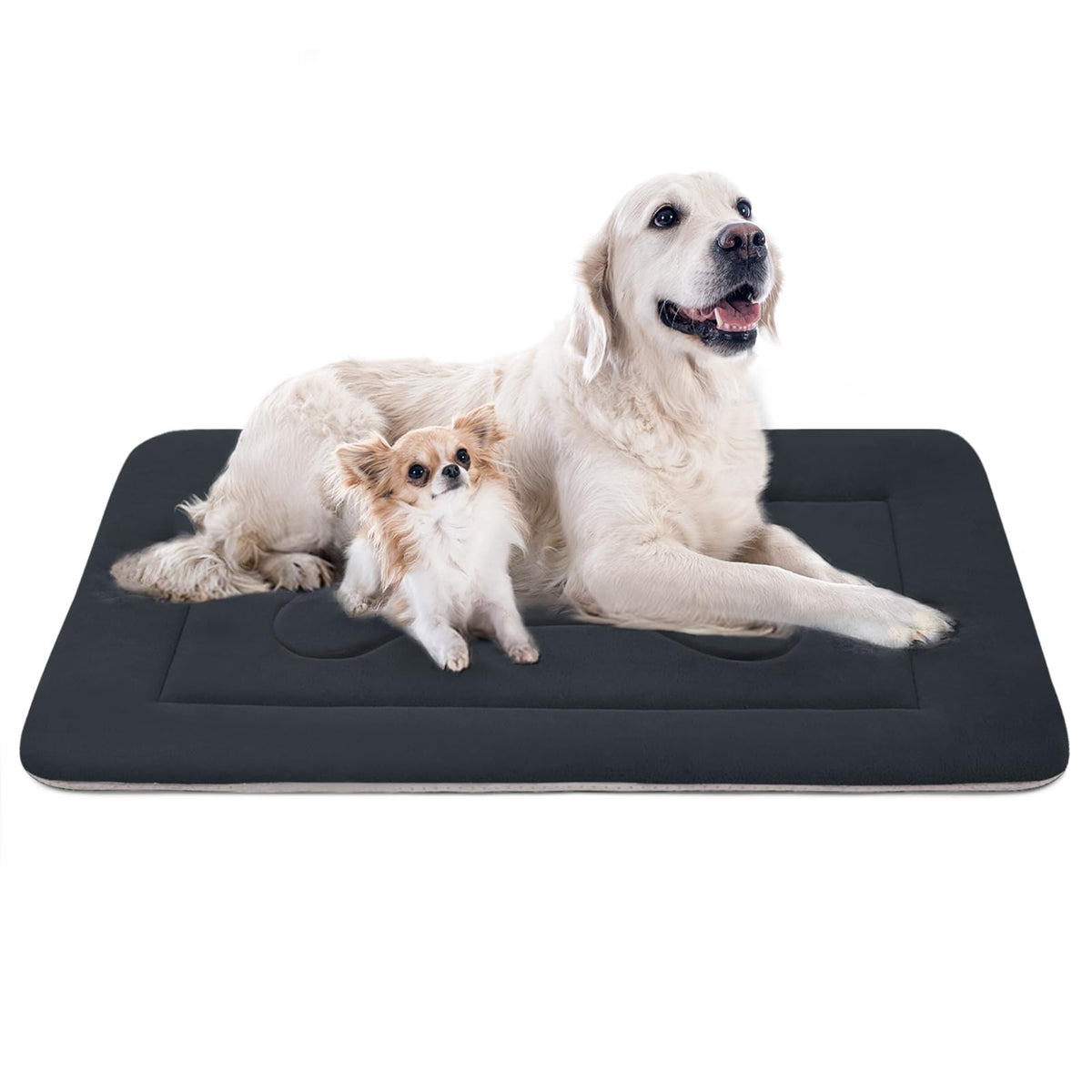 JoicyCo extra-large dog bed with soft surface for cozy lounging