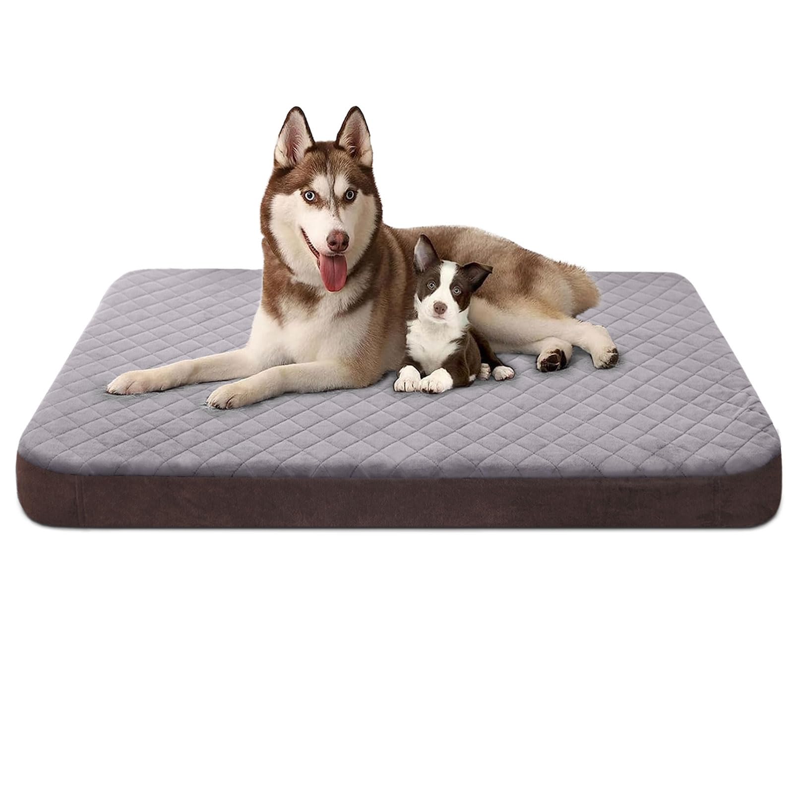 JoicyCo large dog bed with foam core for extra cushioning on hard floors.