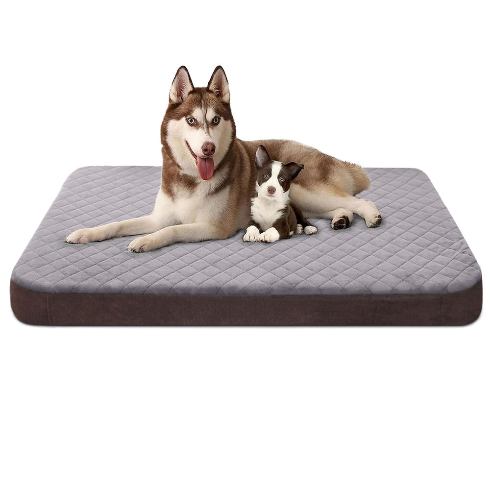 JoicyCo large dog bed with foam core for extra cushioning on hard floors.