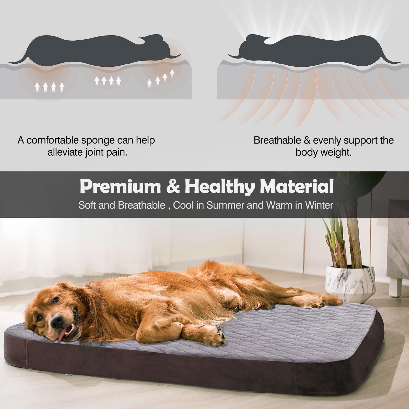 JoicyCo large dog bed features a non-slip bottom for stable placement.