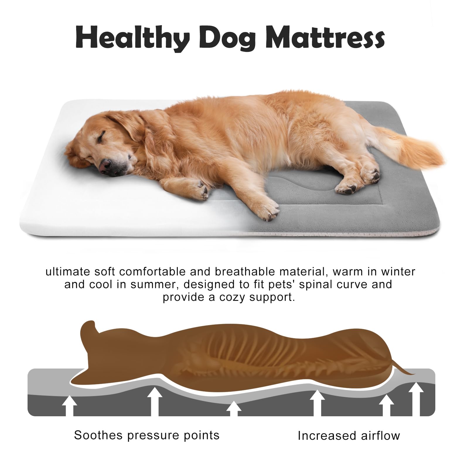 JoicyCo washable dog bed; machine-washable fabric and quick recovery.