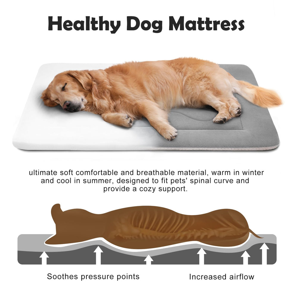 JoicyCo washable dog bed; machine-washable fabric and quick recovery.