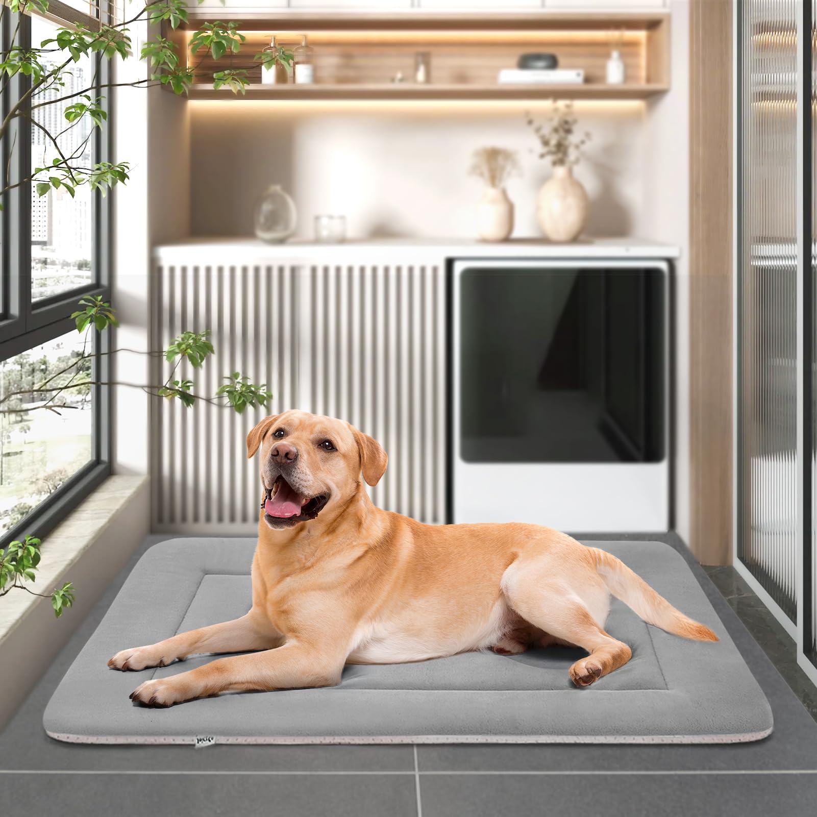 JoicyCo available in 36–48 inch sizes for pets.