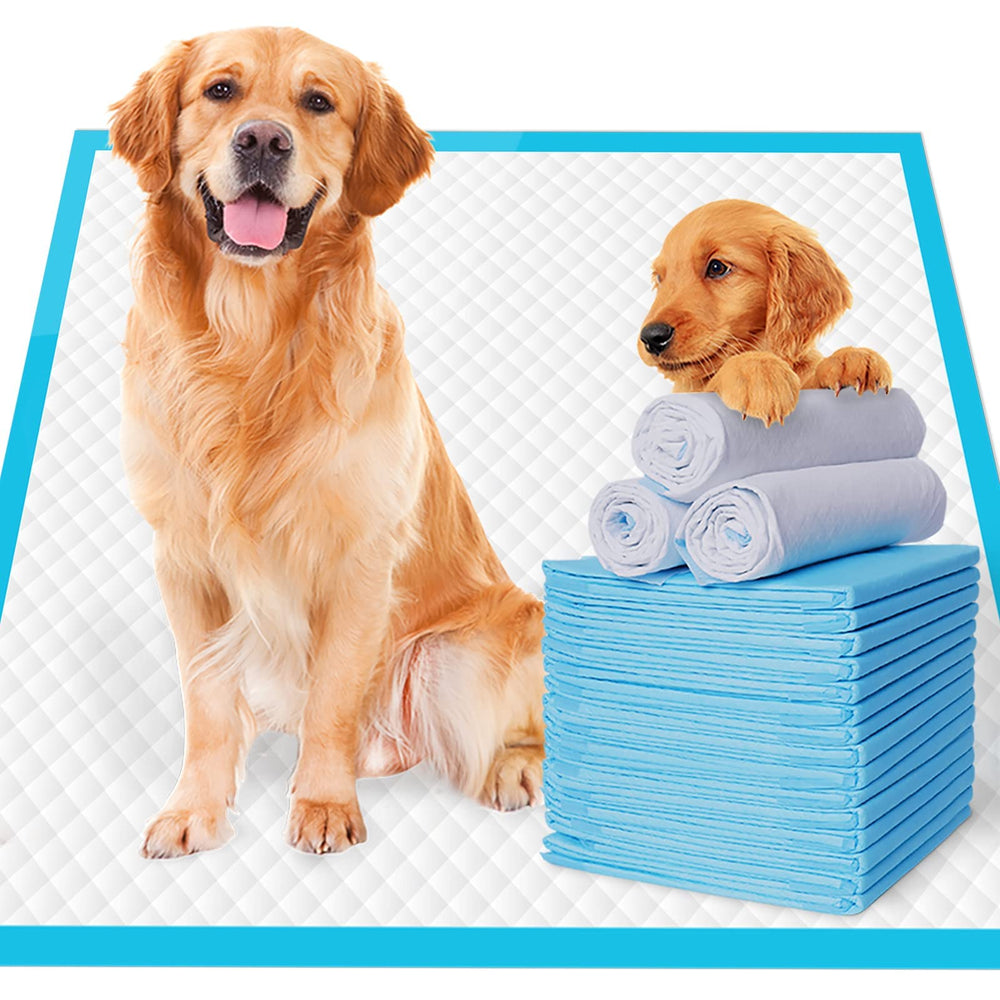 JOINPADS gift-ready pet pads for puppies and senior dogs