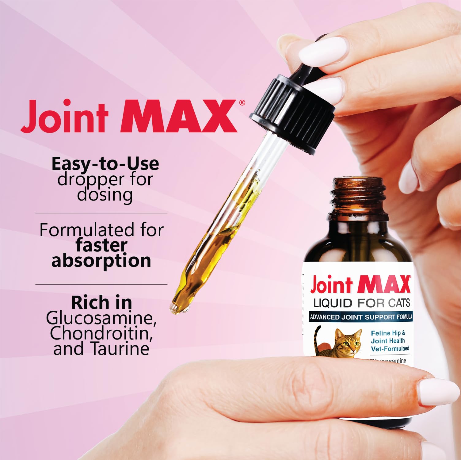 Joint Max Liquid for Cats being mixed with cat food to enhance daily use