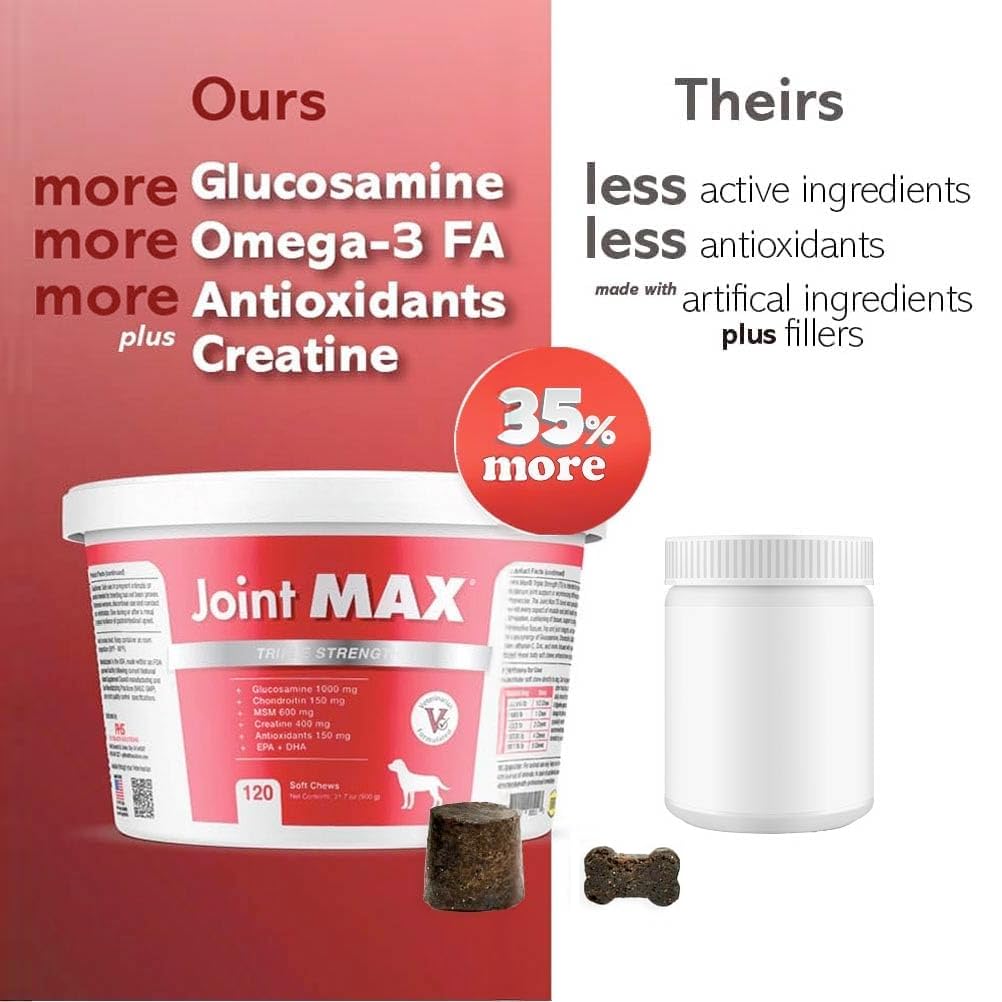Joint Max TS chew time as dog accepts daily joint care.