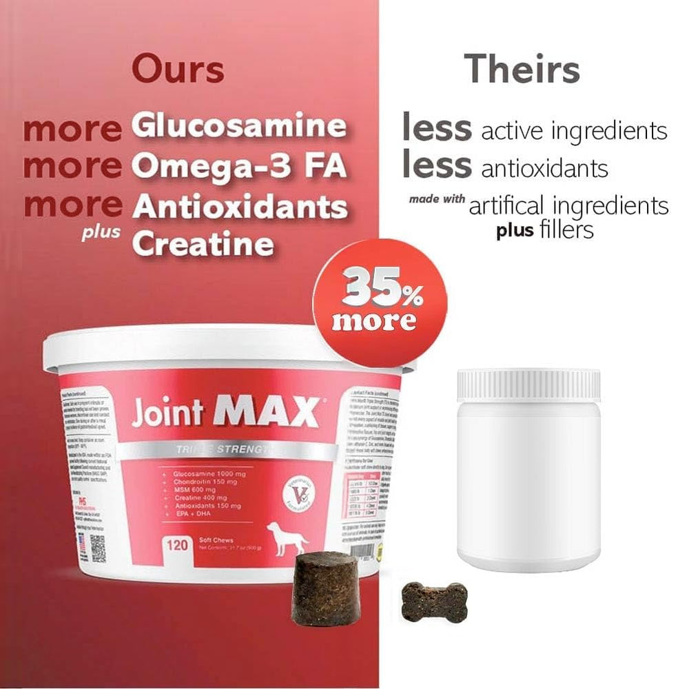 Joint Max TS chew time as dog accepts daily joint care.