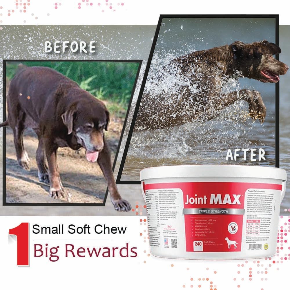 Omega 3 EPA DHA visual with soft chews