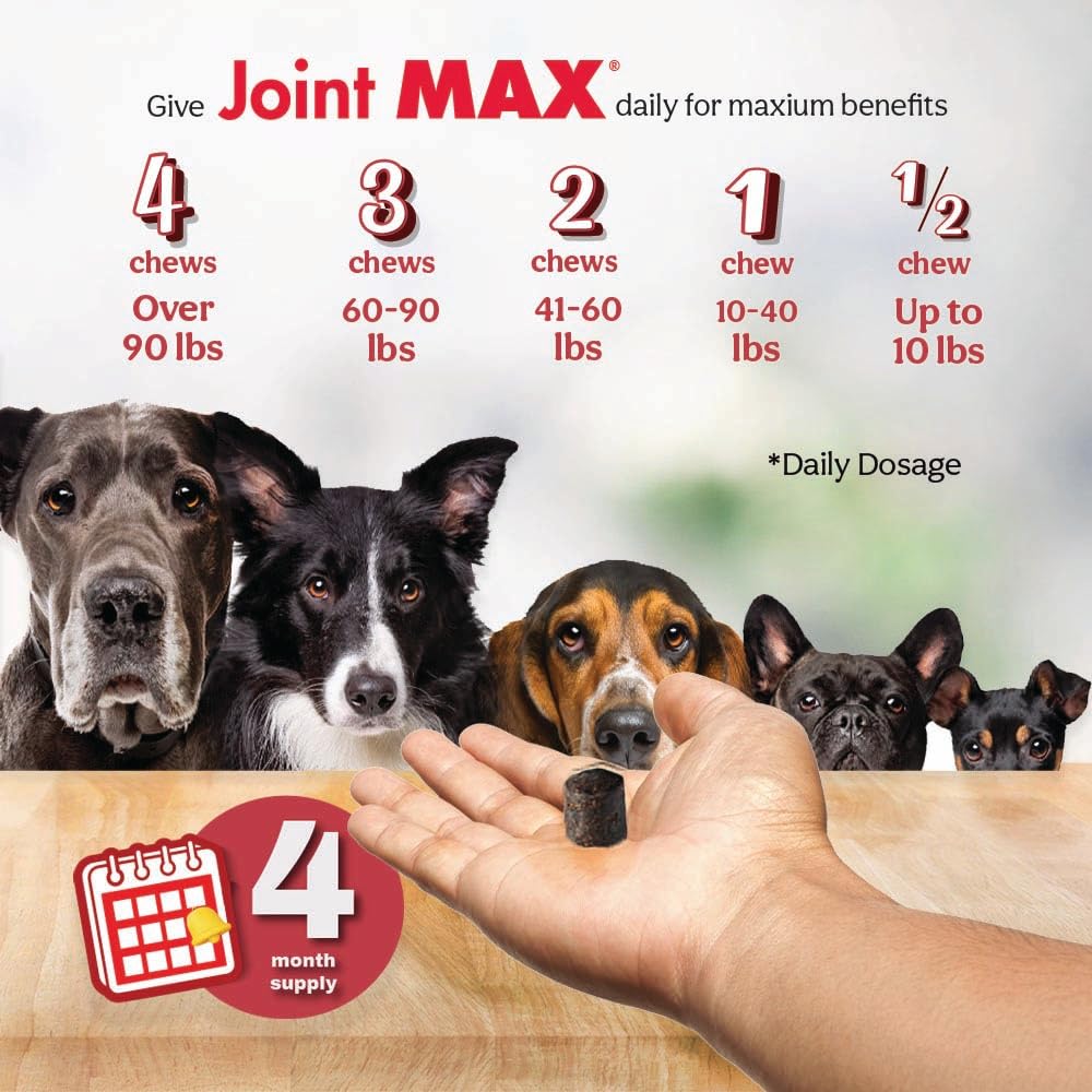 Pet parent offering Joint MAX TS during playtime