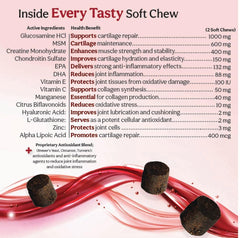 Closeup of Joint Max TS chews, liver flavor appealing to dogs.
