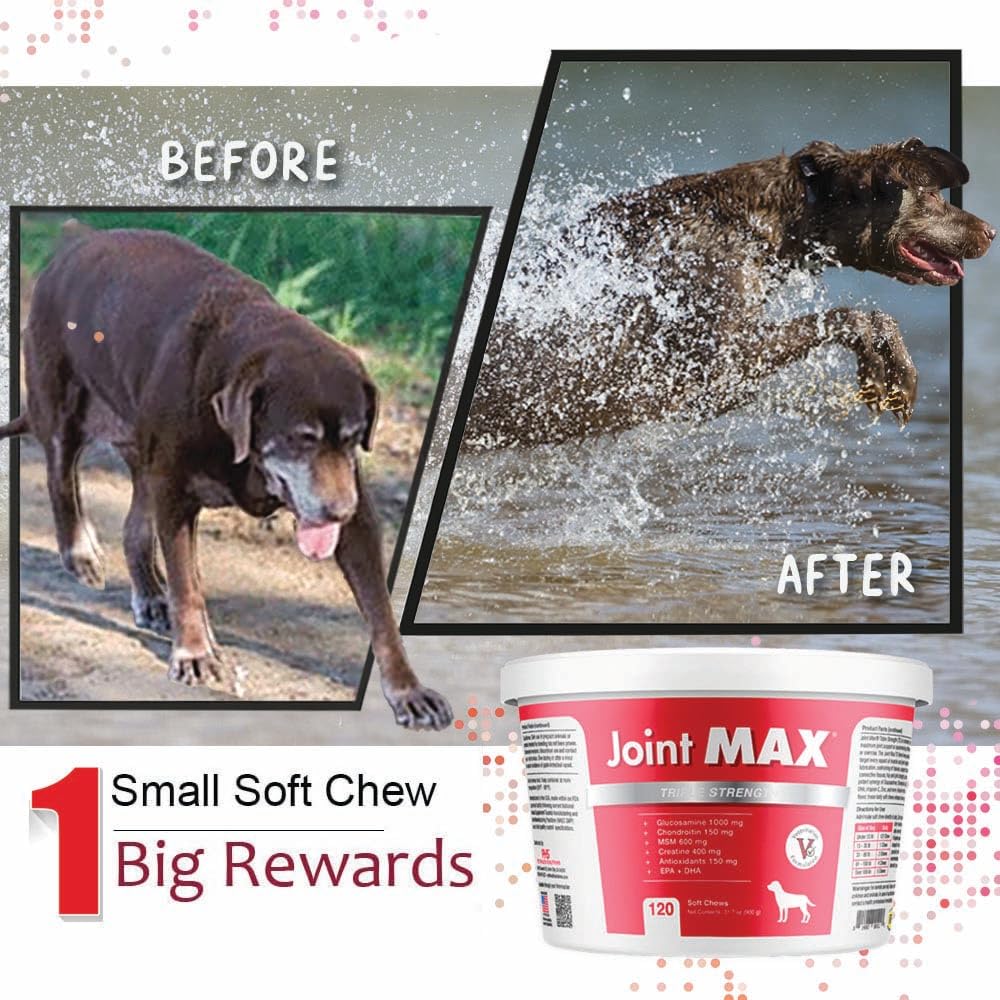 Joint Max TS tub packaging on shelf for vet-formulated care.