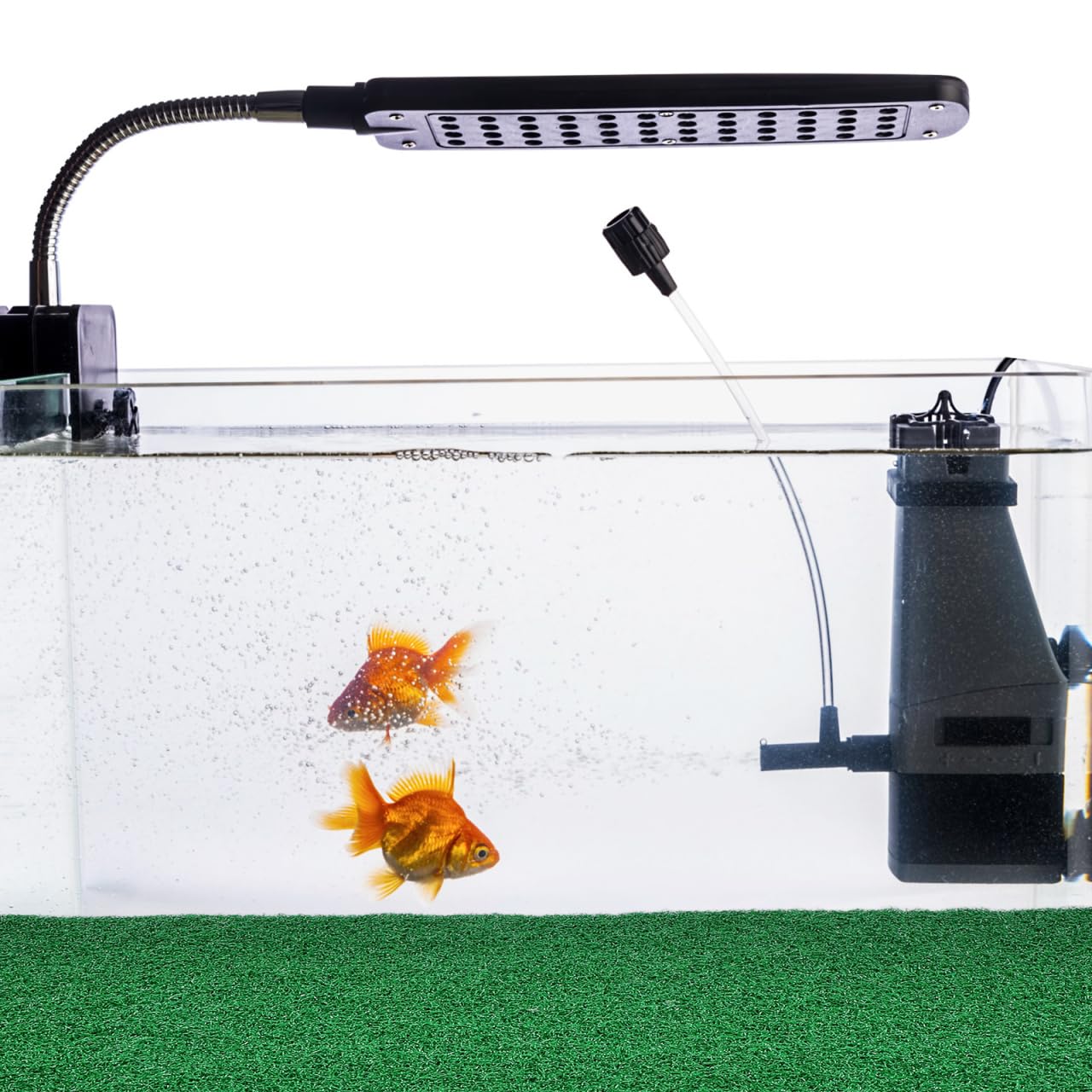 jojofuny easy-clean design shows quick rinse capability after tank maintenance.