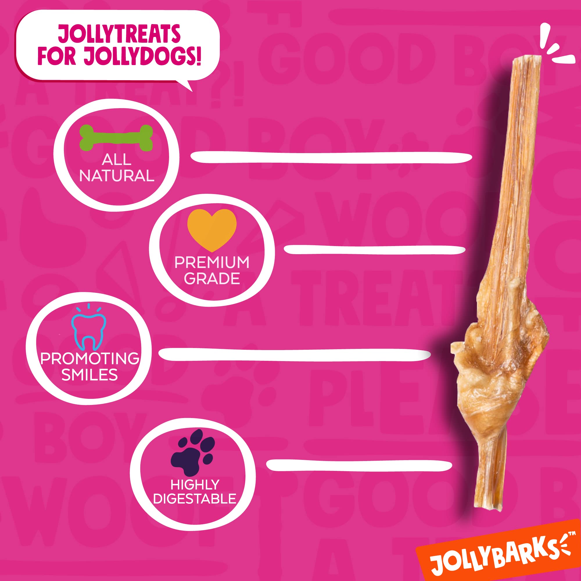Jolly Barks Junior Bully Sticks with soft texture for gentle chewers.