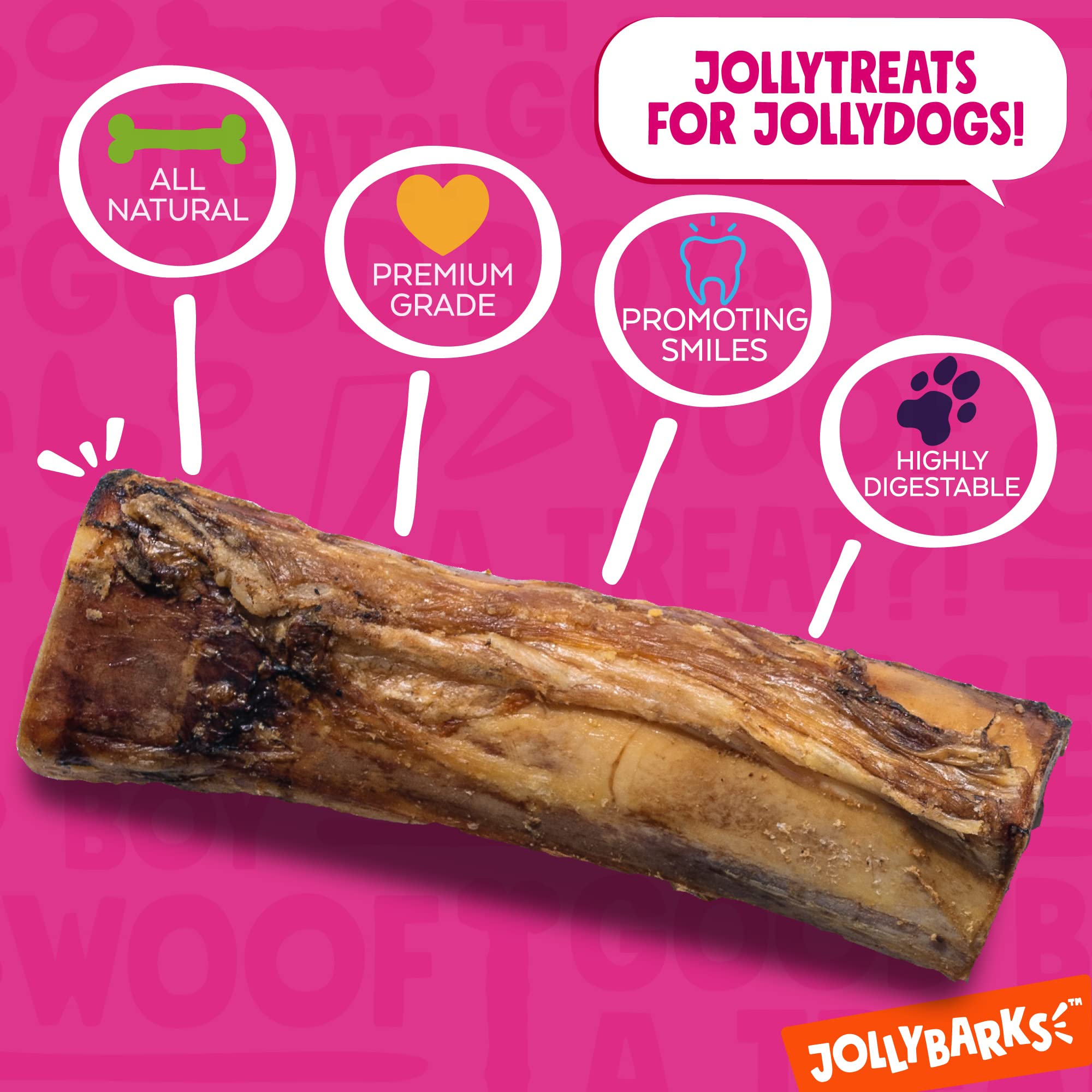 A dog chews Jolly Barks marrow bones, demonstrating engagement and enrichment.