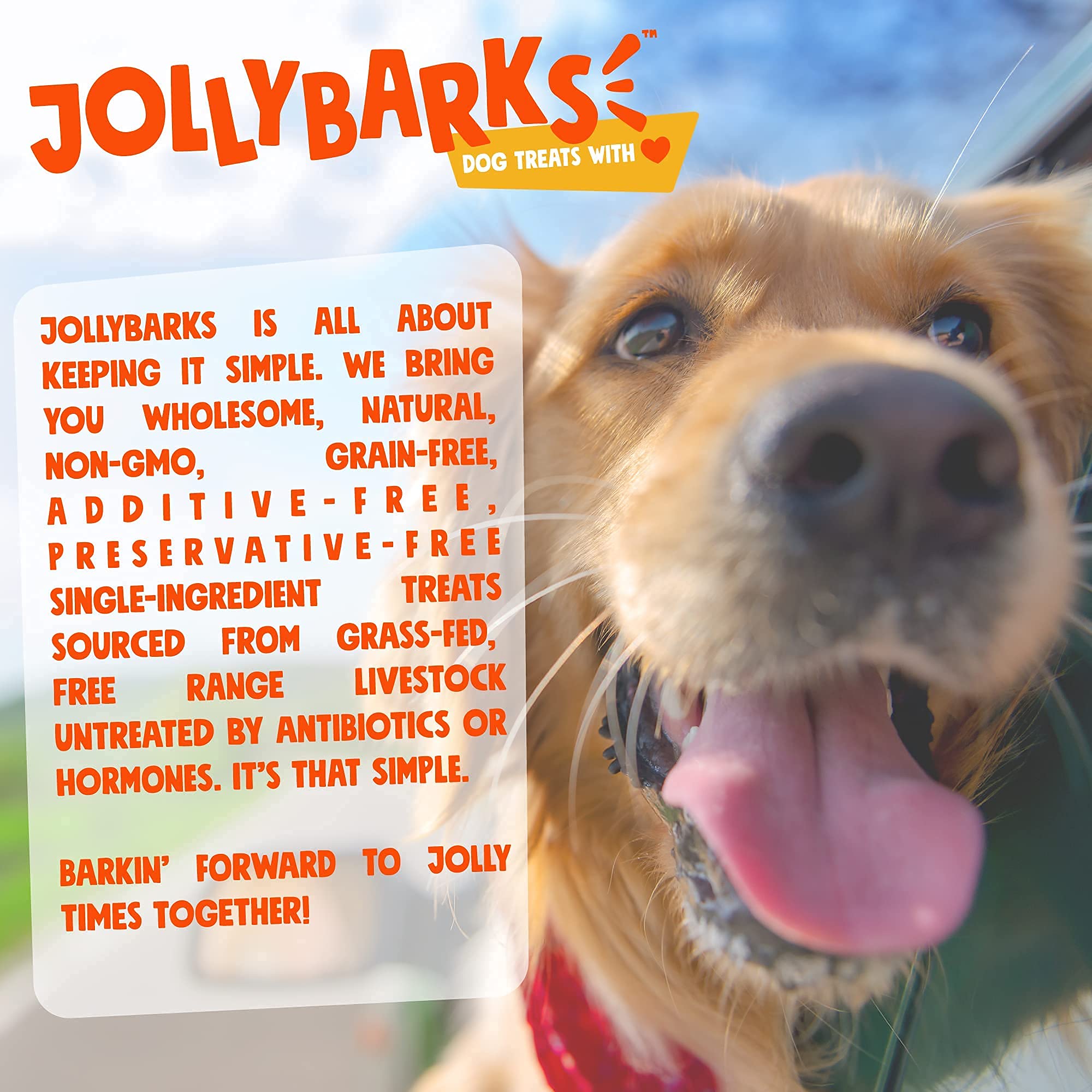 Quality-inspected Jolly Barks marrow bones safe for aggressive chewers.
