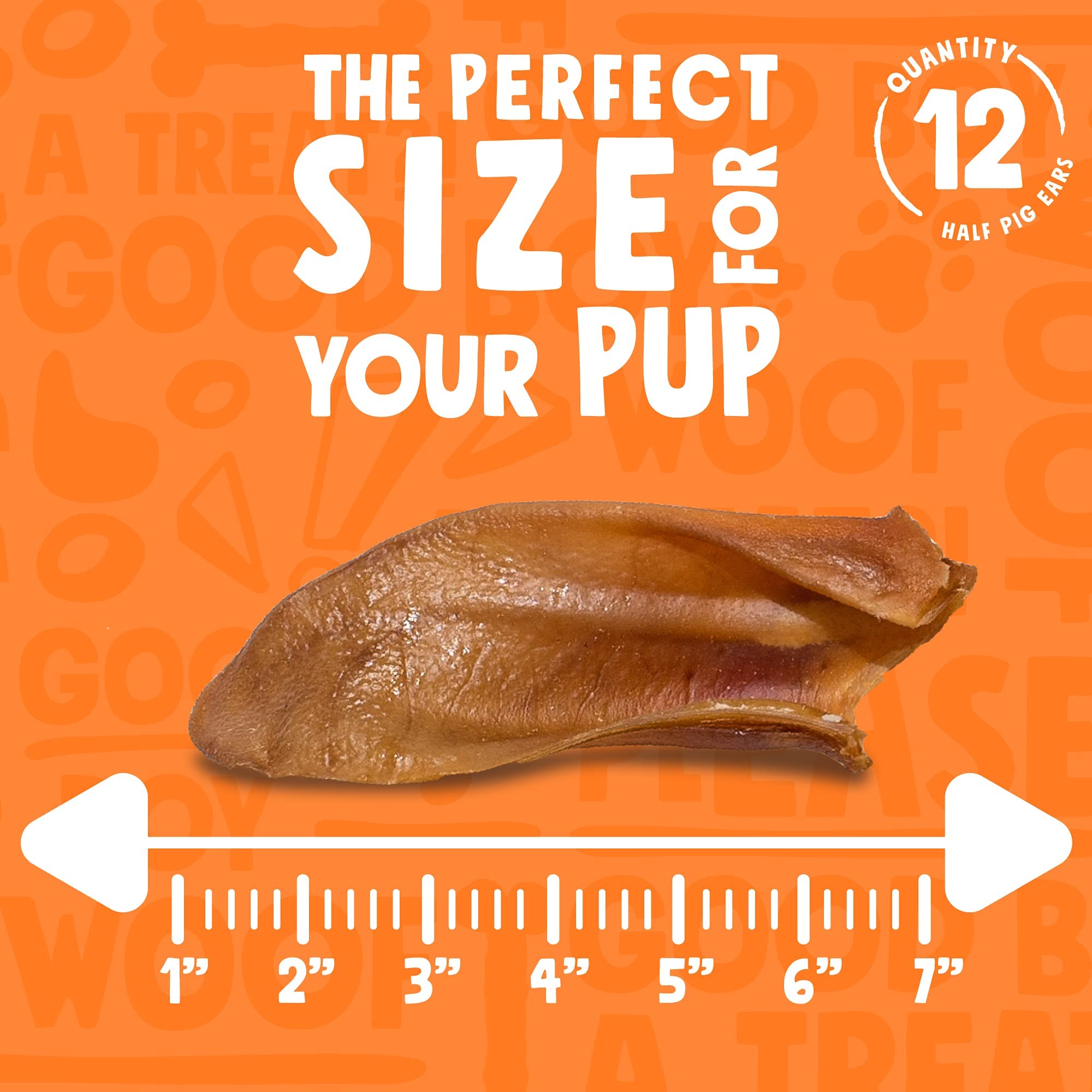 Pig ears with thick cartilage from Jolly Barks for a substantial chew.
