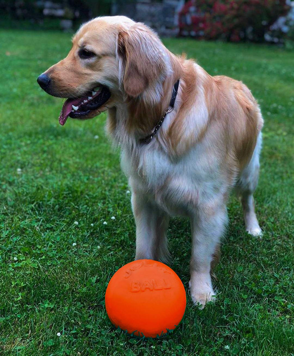 Jolly Pets Bounce-n-Play ball in action, ideal for kicking, chasing, and retrieval.