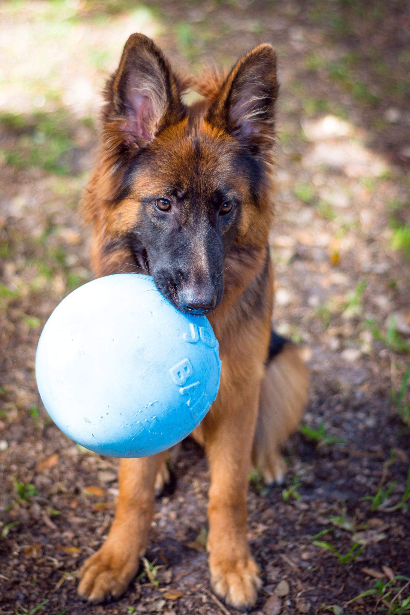 Jolly Pets Bounce-N-Play close-up showing durable surface for tough play.