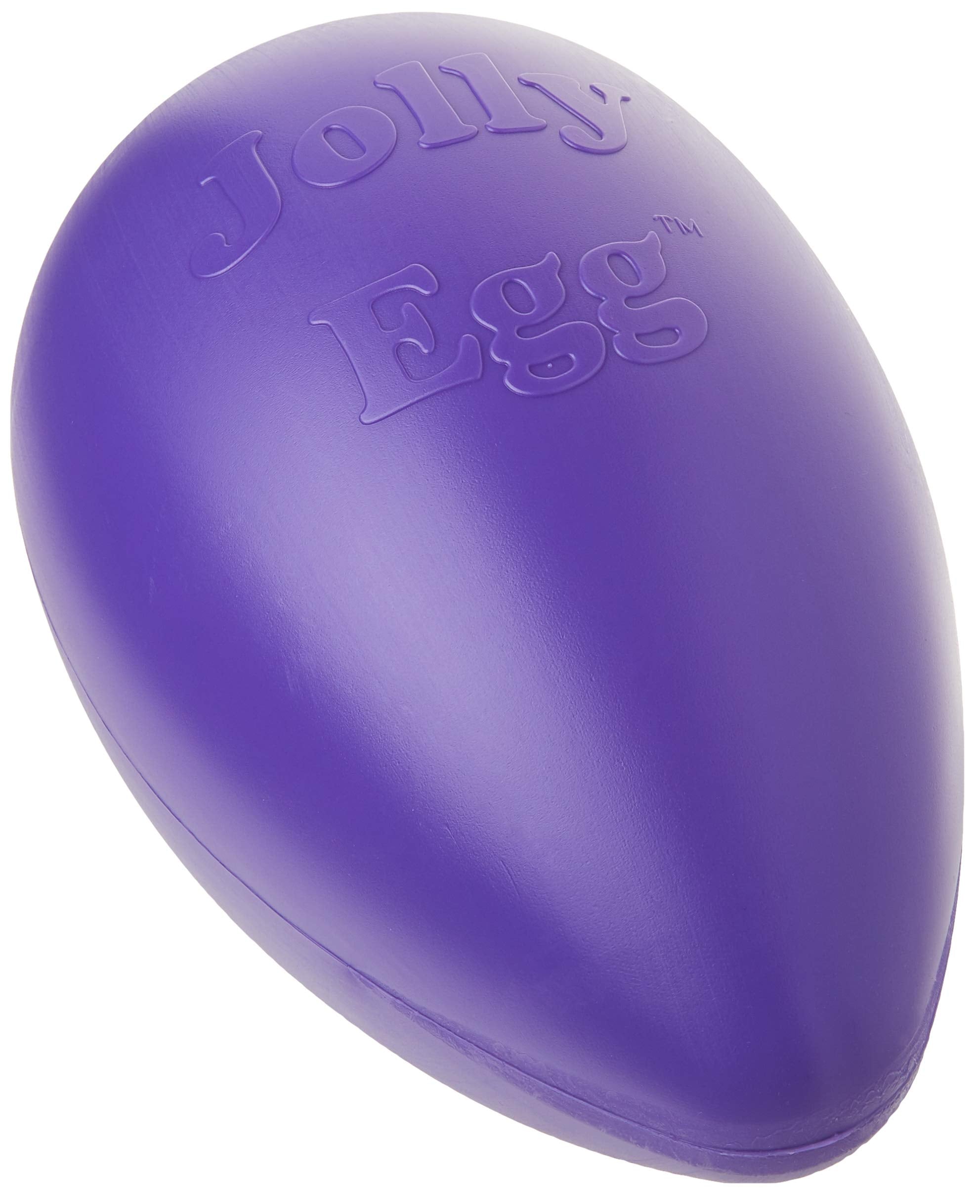 Jolly Pets Jolly Egg toy in purple encourages playful chasing.