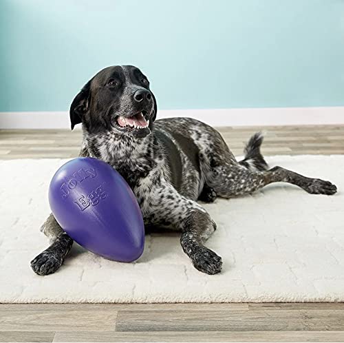 Jolly Pets Jolly Egg enables water fun and exercise for dogs.