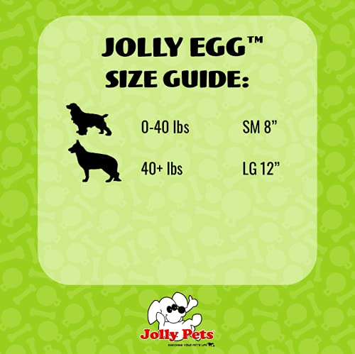 Jolly Pets Jolly Egg USA-made toy supports durable dog play.