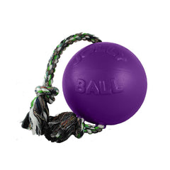 Dog enjoys a game of tug with the Romp-n-Roll toy in outdoor setting.