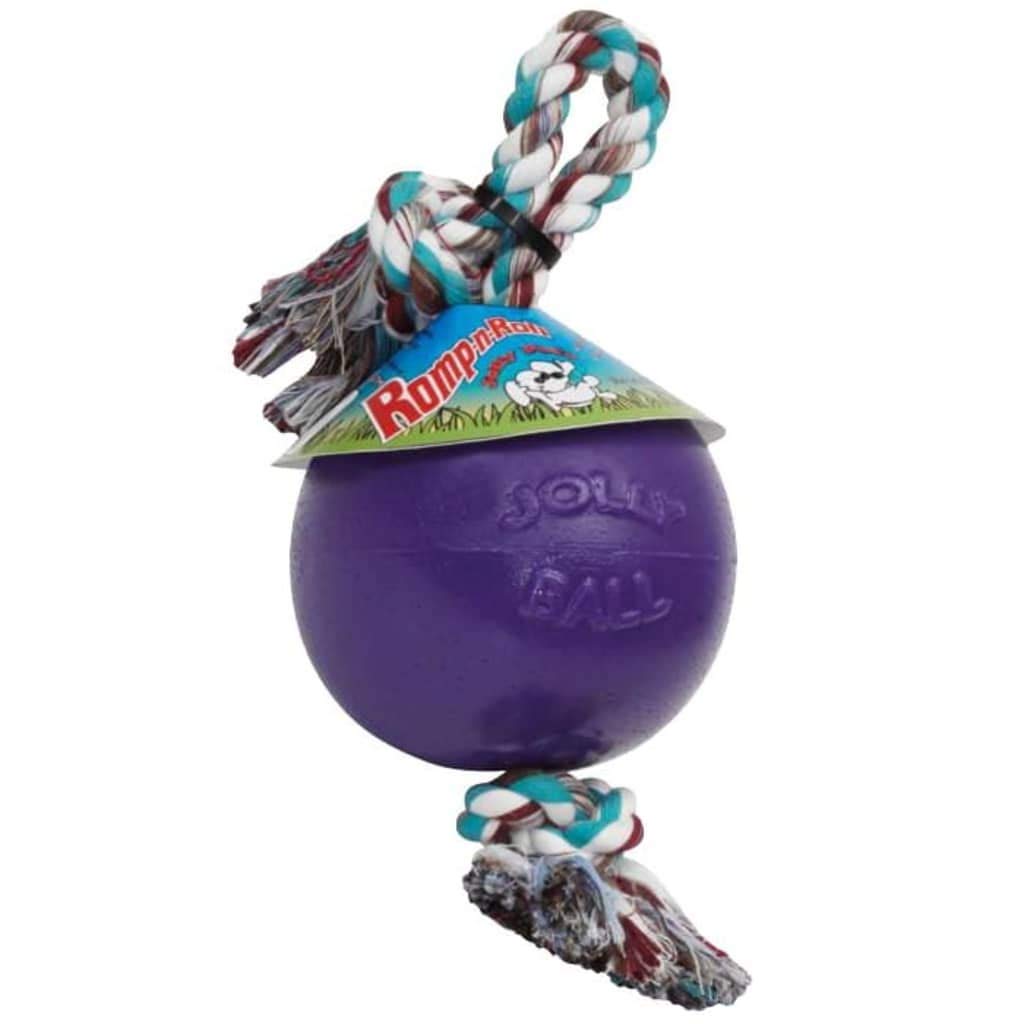 Jolly Pets Romp-n-Roll purple dog toy with 6-inch ball for durable outdoor play