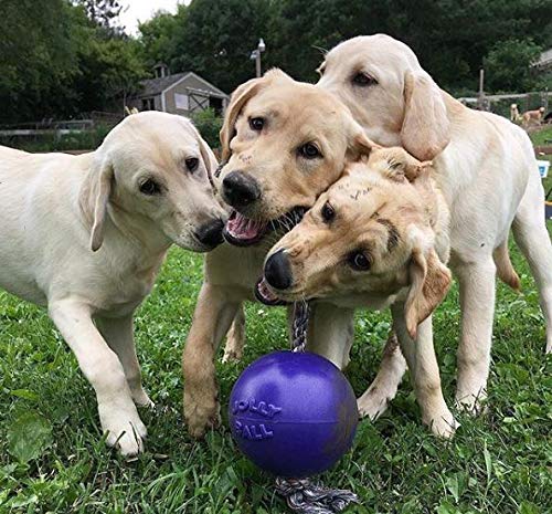 Jolly Pets Romp-n-Roll rope-through-ball design enables tug-and-toss play