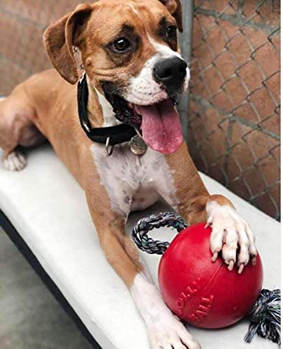Jolly Pets Romp-n-Roll durable outer cord design for tough play