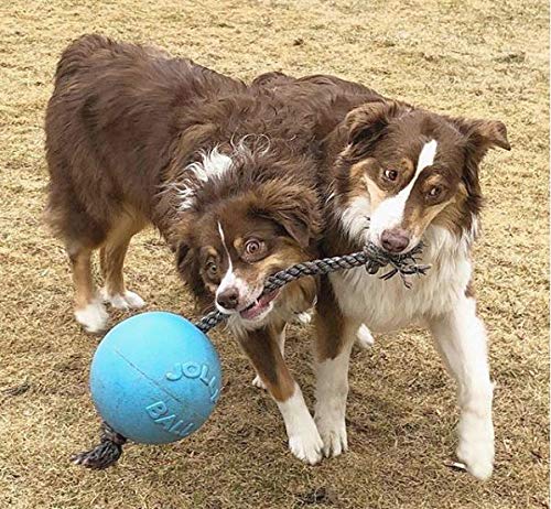 Jolly Pets Romp-n-Roll easy grip rope supports tug-of-war and interactive play.
