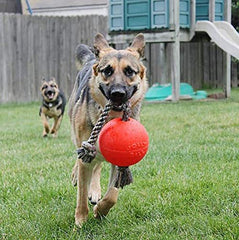 Jolly Pets Romp-n-Roll Easy Grip rope enables tug and throw