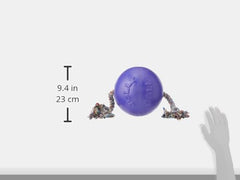Dog enjoys rope-and-ball play with Jolly Pets Romp-n-Roll for large breeds.
