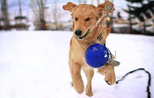 Close-up of Jolly Pets Romp-n-Roll rope through the ball for tug play