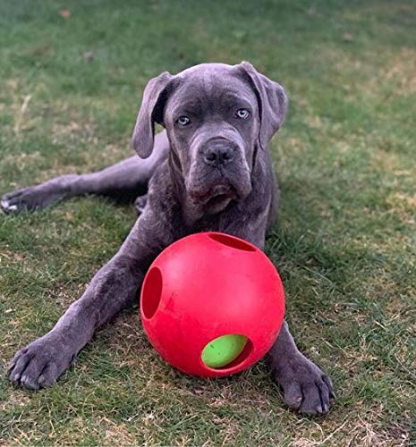 Jolly Pets Teaser Ball interior movable component enhances puzzle play