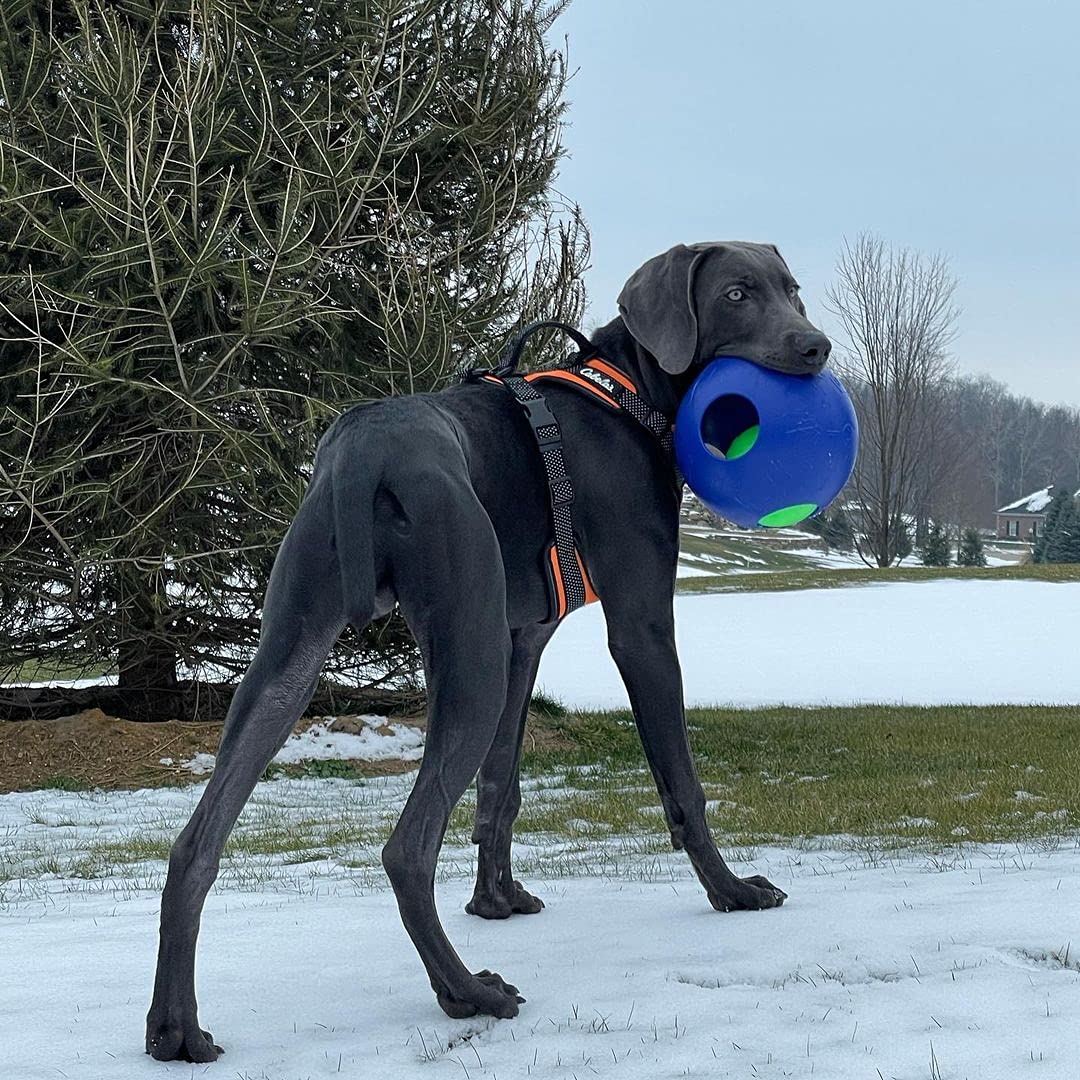 Jolly Pets Teaser Ball large 8-inch size suits 60-90 lb dogs.