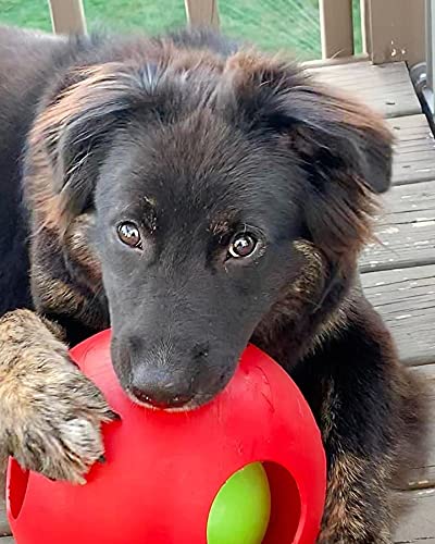Jolly Pets Teaser Ball peanut butter on interior supports extra challenge