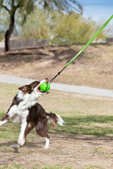 Jolly Pets Tree Tugger Green in-action image highlighting bungee tug and interactive play