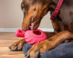 Jolly Pets Tuff Treader treat-stuffing slot enables puzzle rewards for snacks