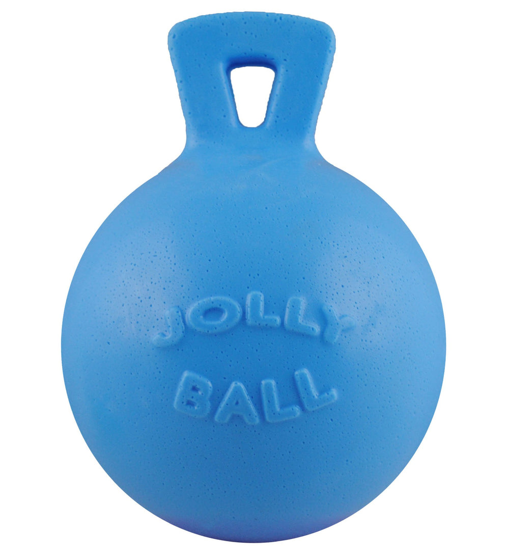 Jolly Pets Tug-N-Toss Ball 6-Inch Blueberry close-up, durable fetch-ready design.