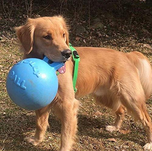 Jolly Pets Tug-N-Toss ball with integrated handle for versatile play