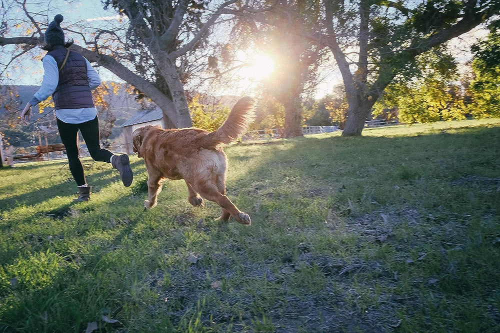 Large-dog friendly Tug-n-Toss ball for dogs 20–60 pounds.
