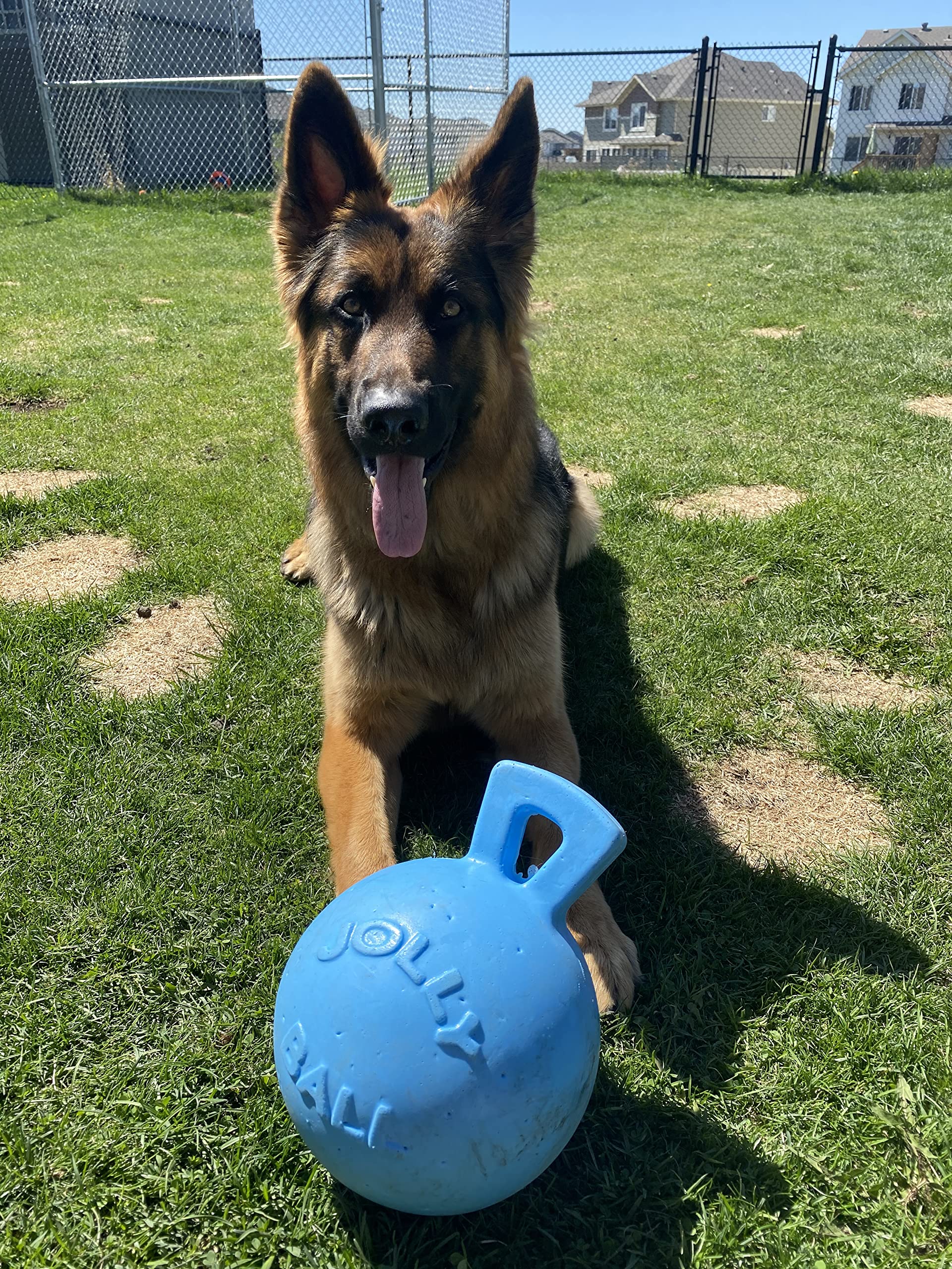 Jolly Pets Tug-N-Toss puncture-resistant toy designed for longer play