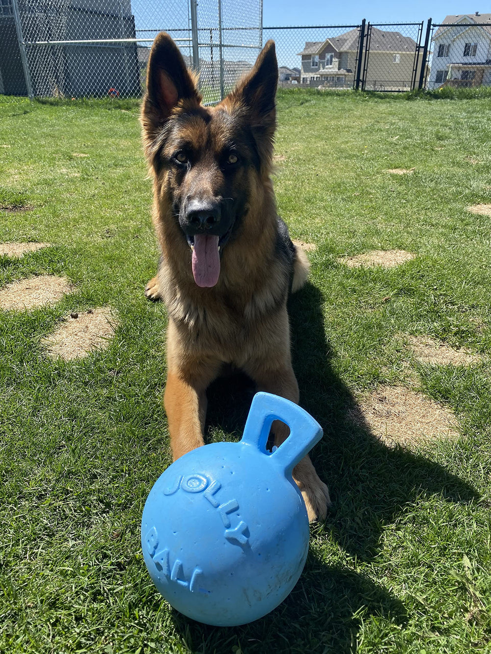 Jolly Pets Tug-N-Toss puncture-resistant toy designed for longer play